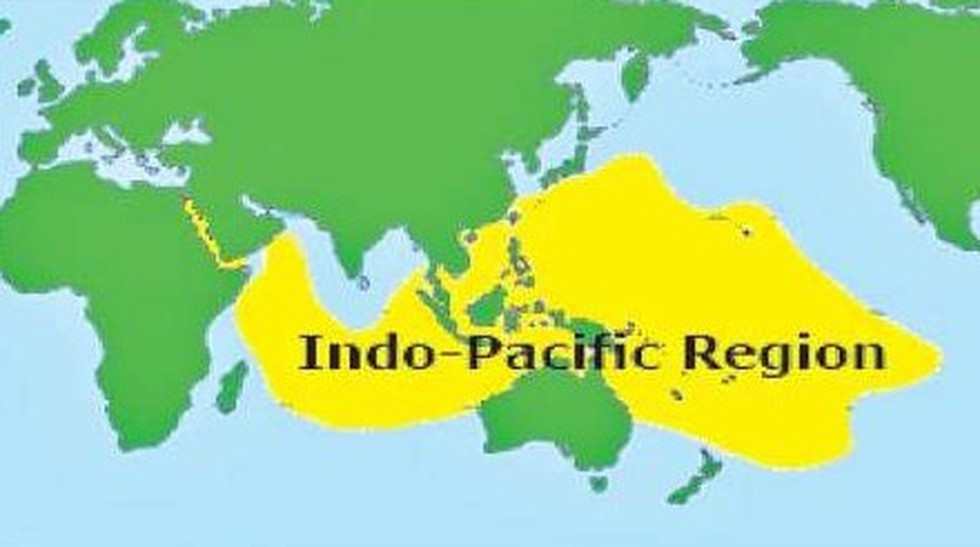 Pacific region. Индо-Тихоокеанский регион на карте. Индо Пацифика на карте. США В индо-Тихоокеанском регионе. Концепция "индо-Тихоокеанского региона.